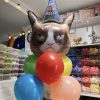 композиция из шаров гремпи кет grumpy cat